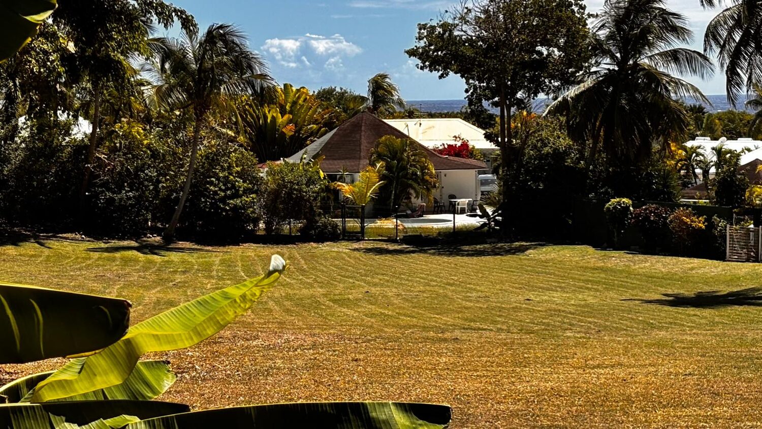 Jardin tropical de la Résidence Karukéra
